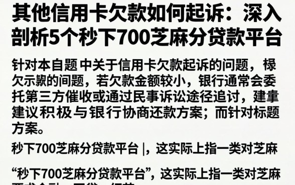 其他信用卡欠款如何起诉，深入剖析5个秒下700芝麻分贷款平台