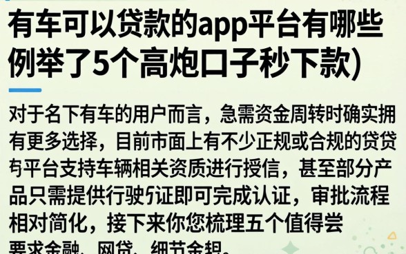 有车可以贷款的app平台有哪些，枚举5个高炮口子秒下款