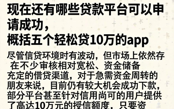 现在还有哪些贷款平台可以申请成功，概括五个轻松贷10万的app