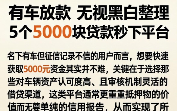 有车放款 无视黑白，整理5个5000块贷款秒下平台