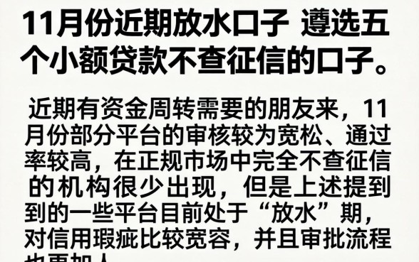 11月份近期放水的口子，遴选五个小额贷款不查征信的口子