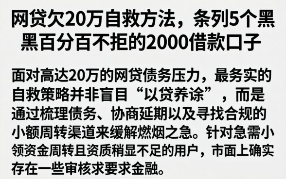 网贷欠20万自救方法，条列5个黑户百分百不拒的2000借款口子