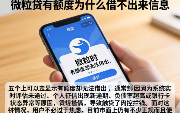 微粒贷有额度为什么借不出来信息，详细阐述五个手机上可以借钱的平台