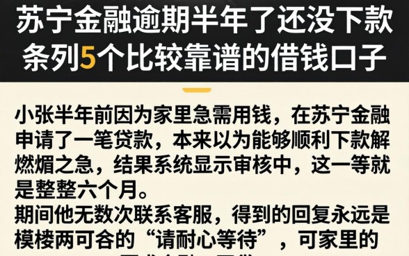 苏宁金融逾期半年了还没下款，条列5个比较靠谱的借钱口子