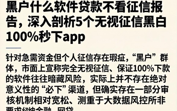 黑户什么软件贷款不看征信报告，深入剖析5个无视征信黑白100%秒下app