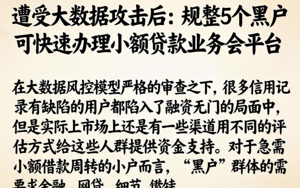遭受大数据攻击后，规整5个黑户可快速办理小额贷款业务的平台