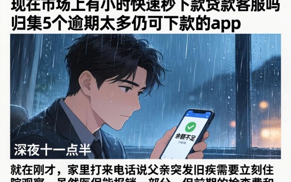 现在市场上有小时快速秒下款的贷款客服吗，归集5个逾期太多仍可下款的app