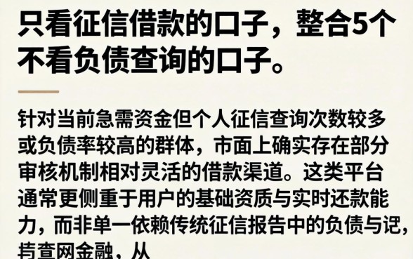 只看征信借款的口子，整合5个不看负债查询的口子