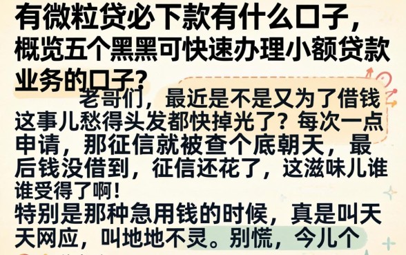 有微粒贷必下款有什么口子，概览五个黑户可快速办理小额贷款业务的口子