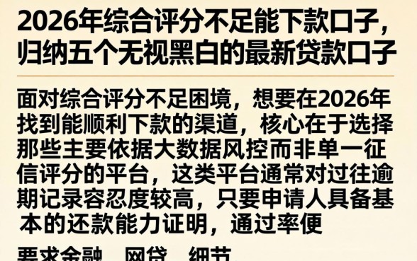 2026年综合评分不足能下款的口子，归纳五个无视黑白的最新贷款口子