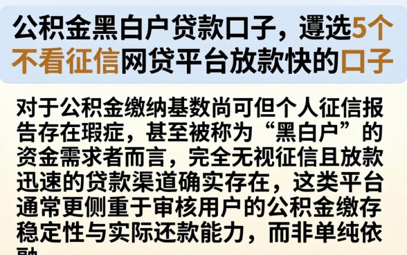 公积金黑白户贷款口子，遴选5个不看征信网贷平台放款快的口子