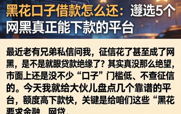 黑花口子借款怎么还，遴选5个网黑真正能下款的平台
