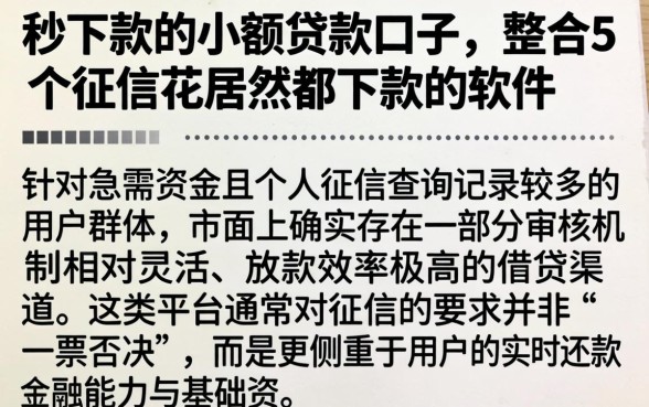 秒下款的小额贷款口子，整合5个征信花居然都下款的软件