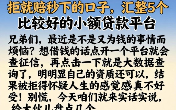 拒就赔秒下的口子,汇整5个比较好的小额贷款平台