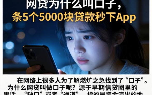网贷为什么叫口子，条列5个5000块贷款秒下app