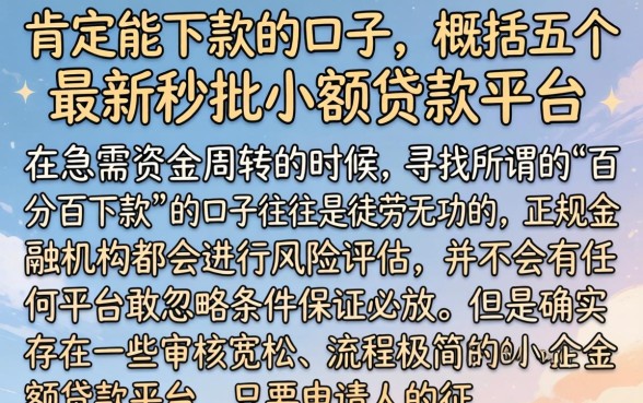 肯定能下款的口子，概括五个最新秒批小额贷款平台