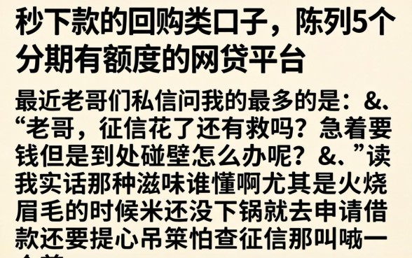 秒下款的回购类口子，陈列5个分期有额度的网贷平台