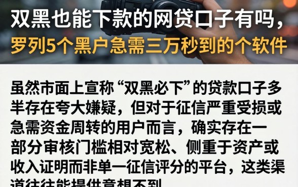 双黑也能下款的网贷口子有吗，罗列5个黑户急需三万秒到的的软件