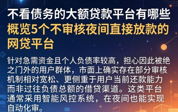 不看债务的大额贷款平台有哪些，概览5个不审核夜间直接放款的网贷平台