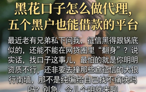 黑花口子怎么做代理，概括五个黑户也能借款的平台
