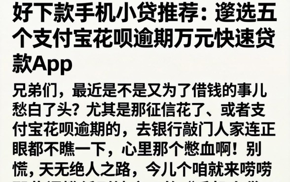 好下款的手机小贷推荐，遴选五个支付宝花呗逾期万元快速贷款app