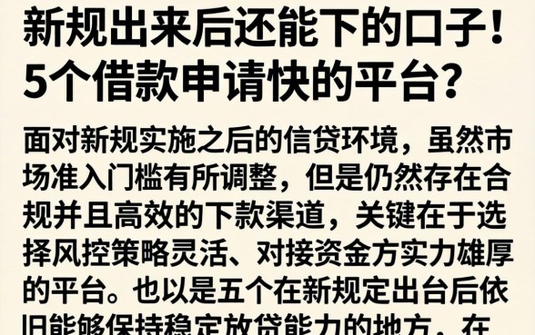 新规出来后还能下的口子，详细阐述5个借款申请快的平台