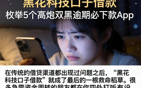 黑花科技口子借款，枚举5个高炮双黑逾期必下款app