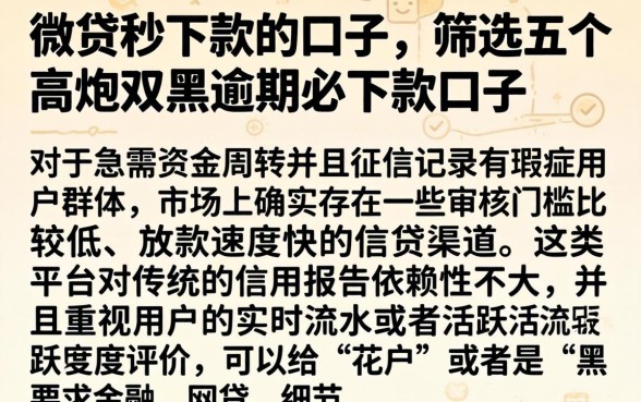 微贷秒下款的口子，筛选五个高炮双黑逾期必下款口子