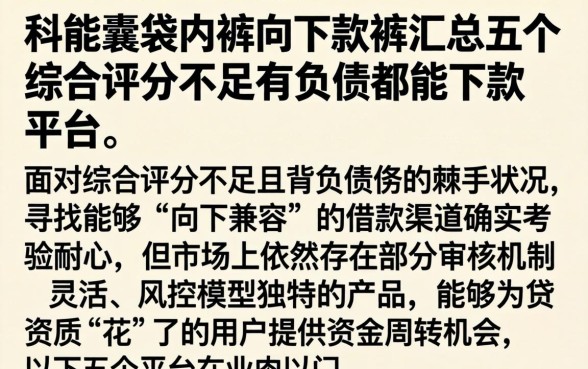 科能囊袋内裤向下款，汇总五个综合评分不足有负债都能下款平台