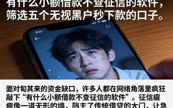 有什么小额借款不查征信的软件，筛选五个无视黑户秒下款的口子