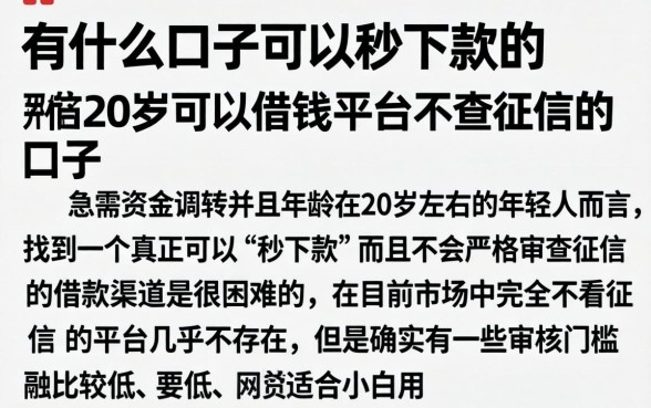 有什么口子可以秒下款的，详尽说明五个20岁可以借钱平台不查征信的口子