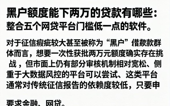 黑户额度能下两万的贷款有哪些，整合五个网贷平台门槛低一点的软件