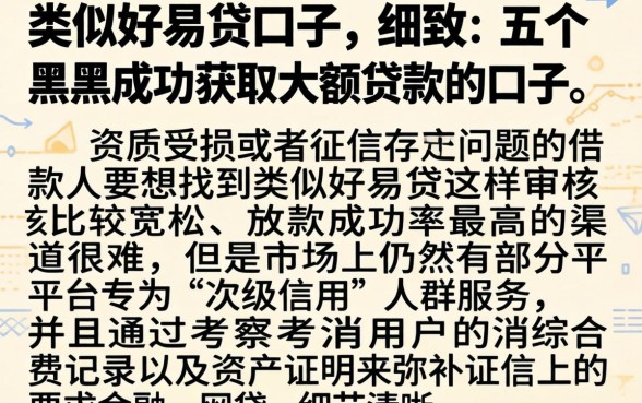 类似好易贷的口子，细致阐述五个黑户成功获取大额贷款的口子