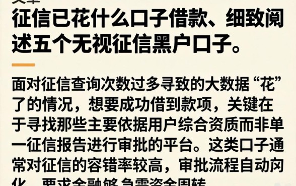 征信已花什么口子借款,细致阐述五个无视征信黑户口子