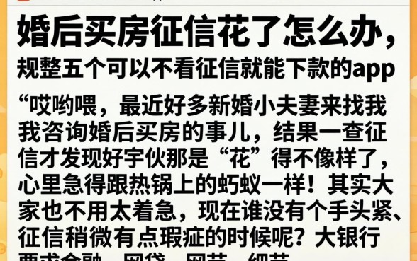 婚后买房征信花了怎么办，规整五个可以不看征信就能下款的app