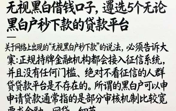 无视黑白借钱口子，遴选5个无论黑白户秒下款的贷款平台
