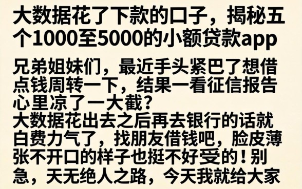 大数据花了下款的的口子，揭秘五个1000至5000的小额贷款app