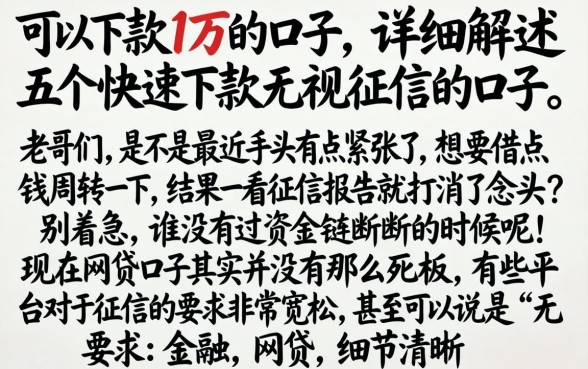 可以下款1万的口子，详细阐述五个快速下款无视征信的口子
