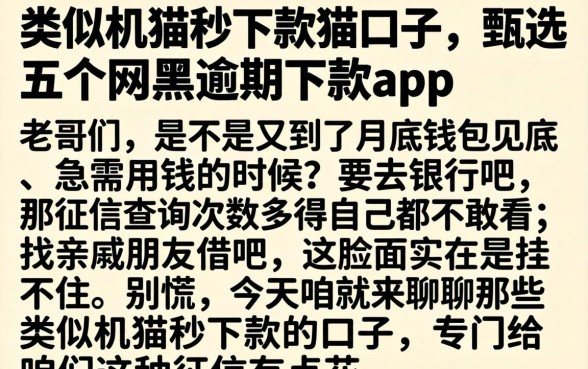 类似机猫秒下款的口子，甄选五个网黑逾期下款app