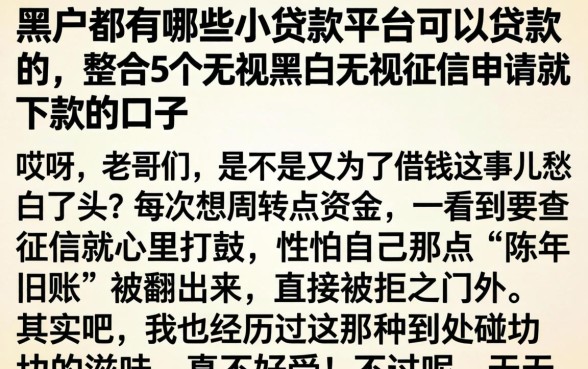 黑户都有哪些小贷款平台可以贷款的，整合5个无视黑白无视征信申请就下款的口子