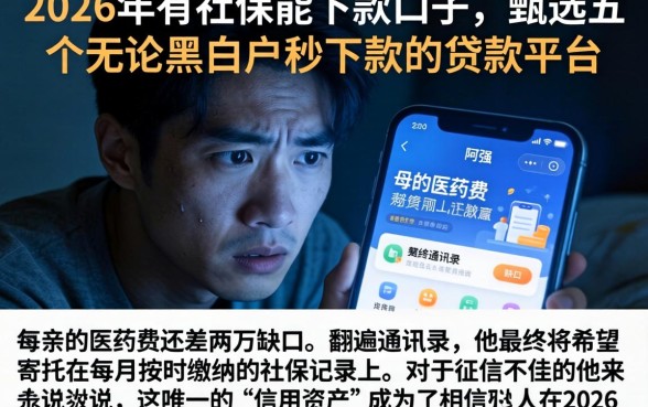 2026年有社保能下款的口子，甄选五个无论黑白户秒下款的贷款平台