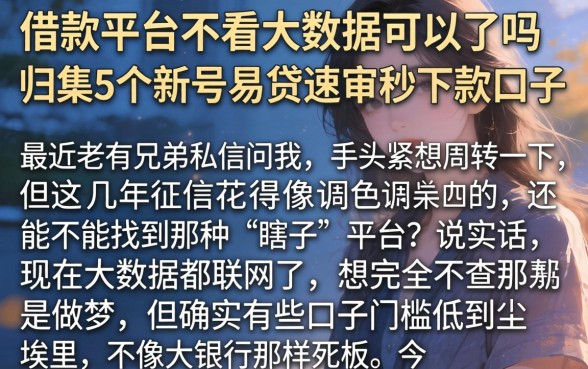 借款平台不看大数据可以吗，归集5个新号易贷速审秒下款口子