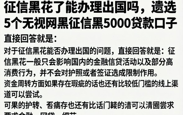 征信黑花了能办理出国吗，遴选5个无视网黑征信黑5000贷款口子