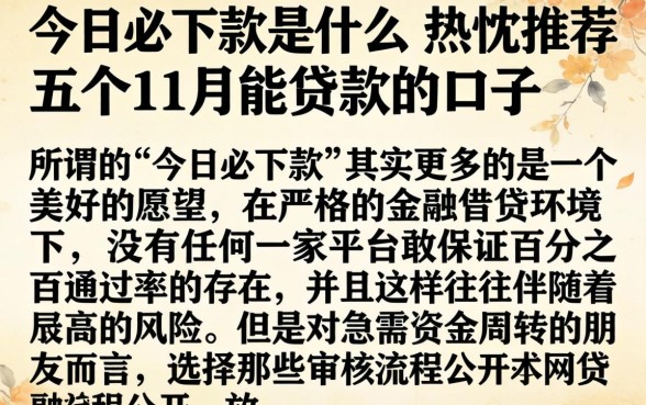 今日必下款是什么，热忱推荐五个11月能贷款的口子