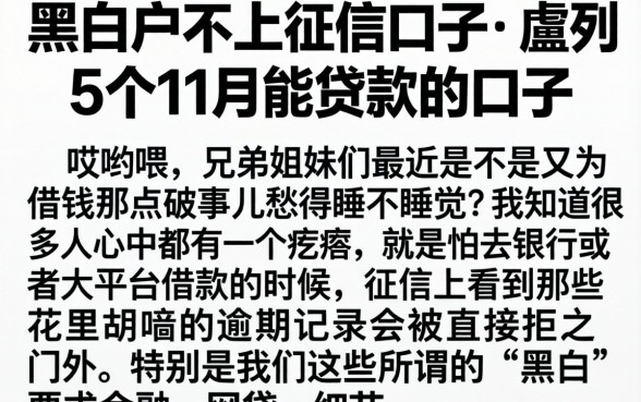黑白户不上征信口子，胪列5个11月能贷款的口子