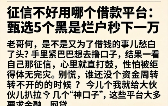 征信不好用哪个借款平台，甄选5个黑户烂户秒下一万