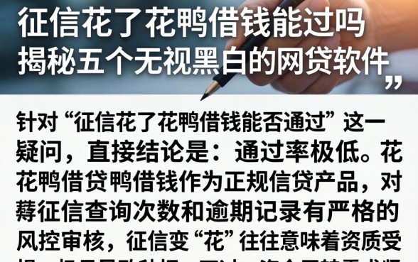 征信花了花鸭借钱能过吗，揭秘五个无视黑白的网贷软件