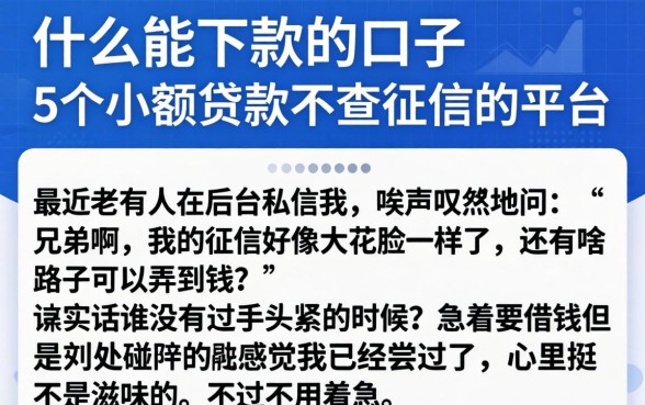 什么能下款的口子，概括5个小额贷款不查征信的平台