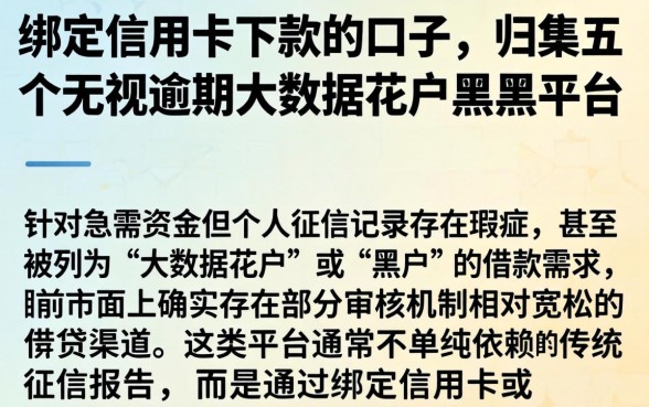 绑定信用卡下款的口子，归集五个无视逾期大数据花户黑户平台