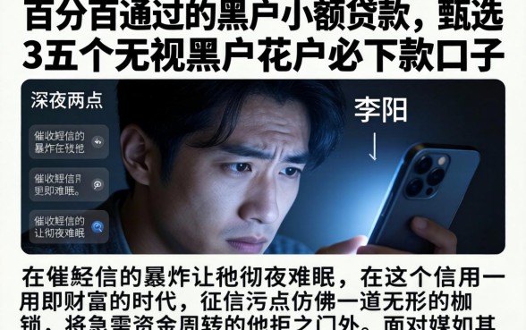 百分百通过的黑户小额贷款，甄选五个无视黑户花户必下款口子